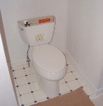 ADA compliant handicapped accessible toilet